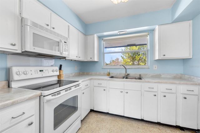 6808 TREEHAVEN DRIVE, Spring Hill, FL 34606