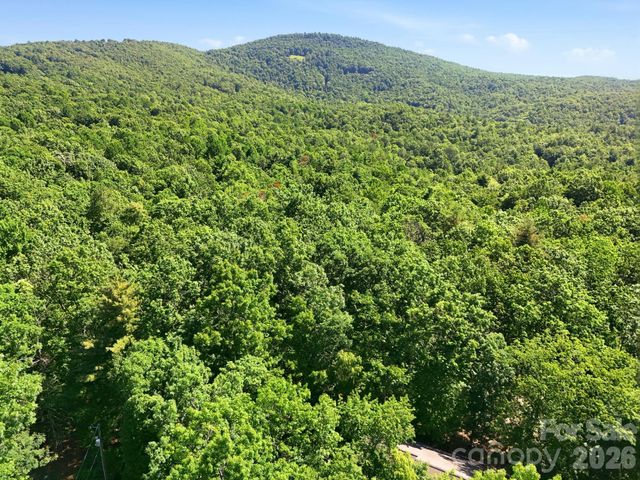 0 Mulberry Circle J-104, Brevard, NC 28712