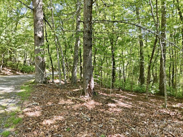 0 Mulberry Circle J-104, Brevard, NC 28712