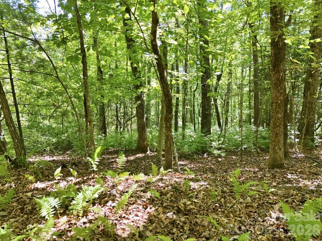 0 Mulberry Circle J-104, Brevard, NC 28712