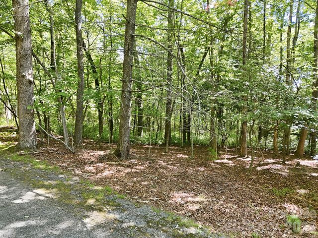 0 Mulberry Circle J-104, Brevard, NC 28712