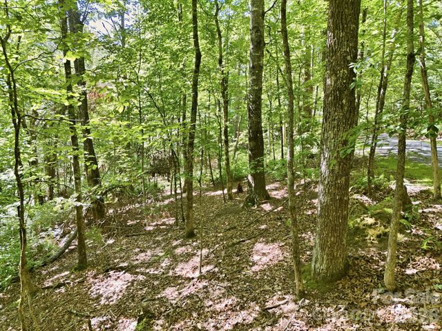 0 Mulberry Circle J-104, Brevard, NC 28712