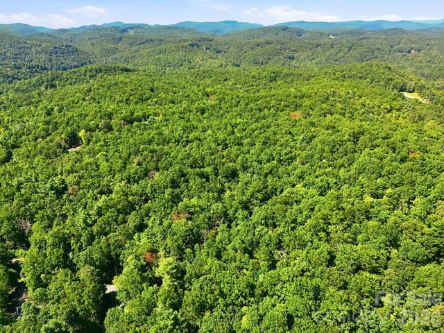 0 Mulberry Circle J-104, Brevard, NC 28712
