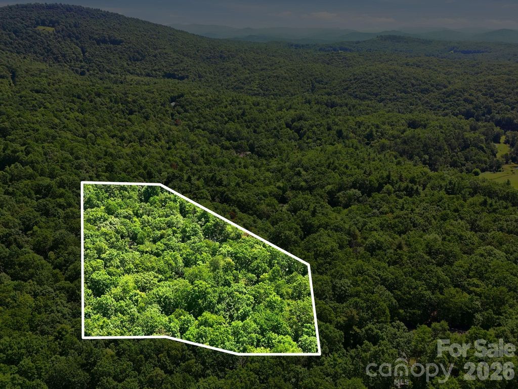 0 Mulberry Circle J-104, Brevard, NC 28712