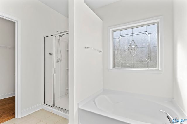 166 Kenton Lane, Madison, AL 35756