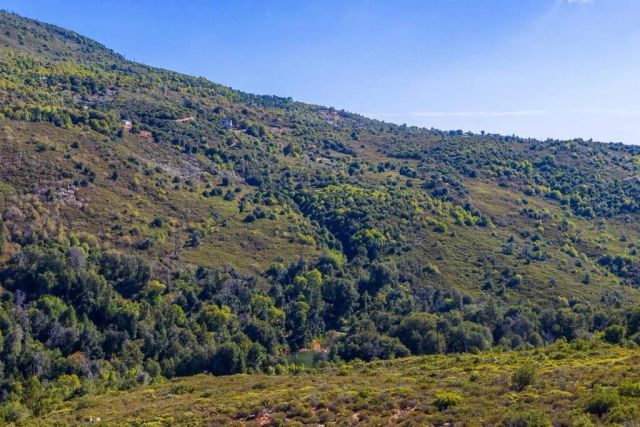 2101 Coulter Ln Lane, Julian, CA 92036