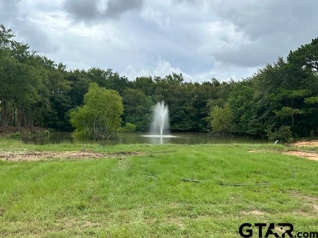 Lot 104 Oak River, Frankston, TX 75763