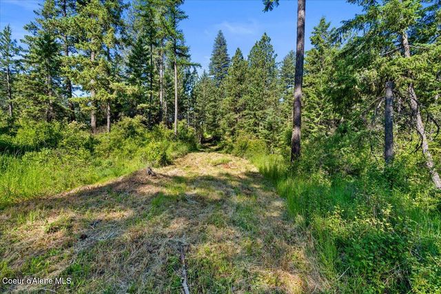 NKA-40 AC W Conkling Rd, Worley, ID 83876