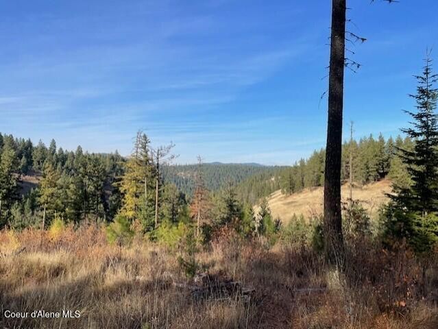 NKA-40 AC W Conkling Rd, Worley, ID 83876