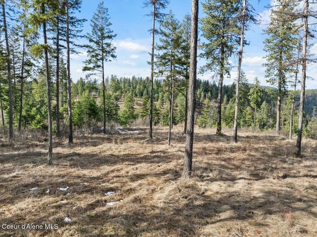 NKA-40 AC W Conkling Rd, Worley, ID 83876