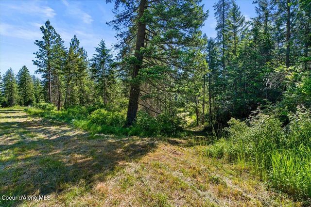 NKA-40 AC W Conkling Rd, Worley, ID 83876