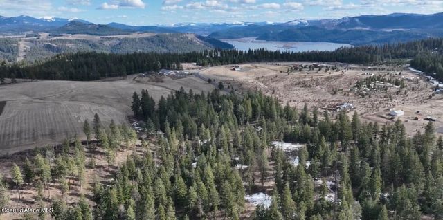 NKA-40 AC W Conkling Rd, Worley, ID 83876