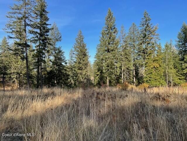 NKA-40 AC W Conkling Rd, Worley, ID 83876
