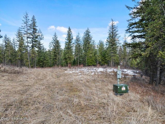 NKA-40 AC W Conkling Rd, Worley, ID 83876