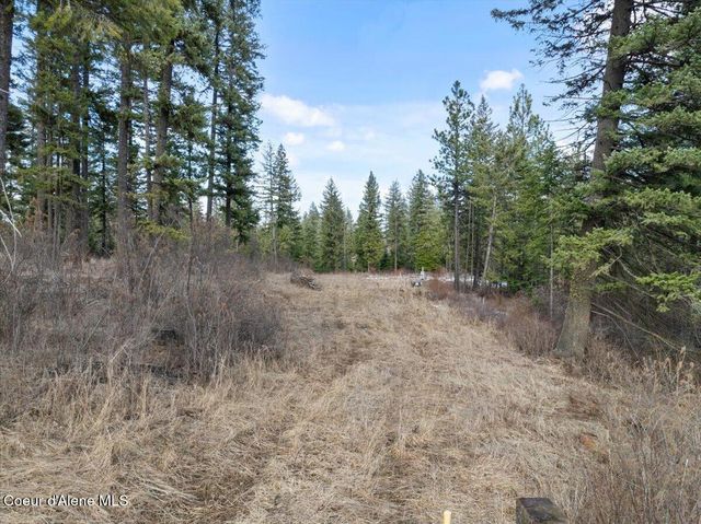 NKA-40 AC W Conkling Rd, Worley, ID 83876