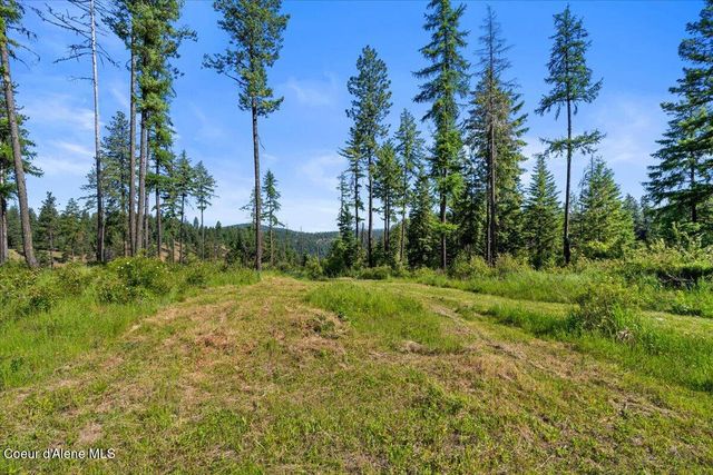 NKA-40 AC W Conkling Rd, Worley, ID 83876