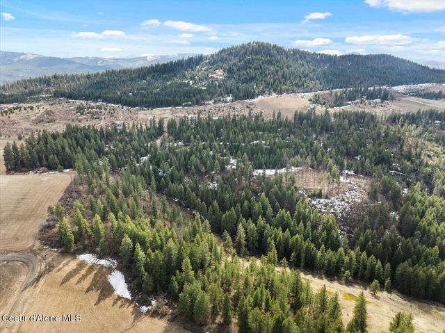 NKA-40 AC W Conkling Rd, Worley, ID 83876