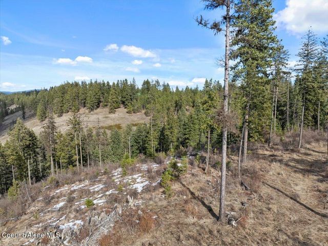 NKA-40 AC W Conkling Rd, Worley, ID 83876