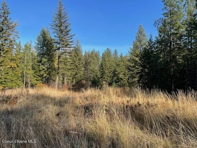NKA-40 AC W Conkling Rd, Worley, ID 83876