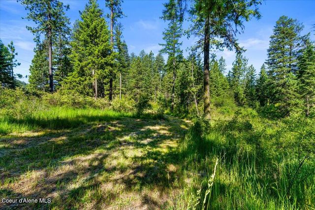 NKA-40 AC W Conkling Rd, Worley, ID 83876