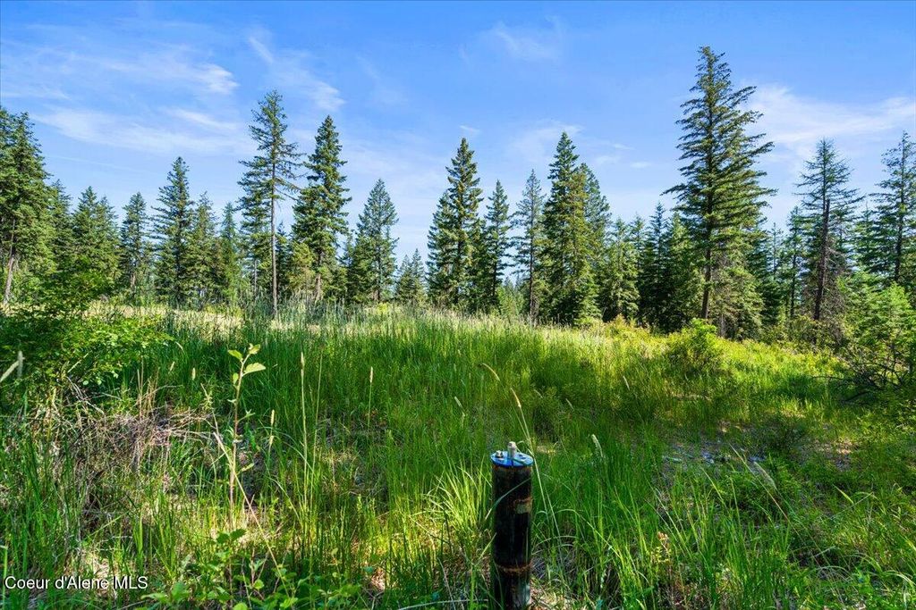 NKA-40 AC W Conkling Rd, Worley, ID 83876
