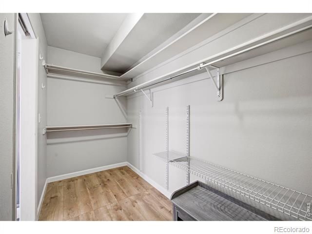 2837 Blackstone Drive, Fort Collins, CO 80525
