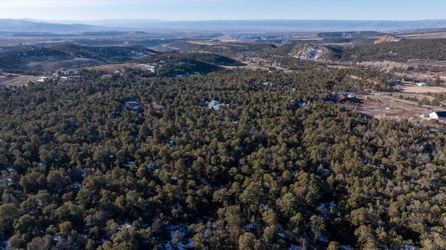 20931 Brimstone Road, Cedaredge, CO 81413