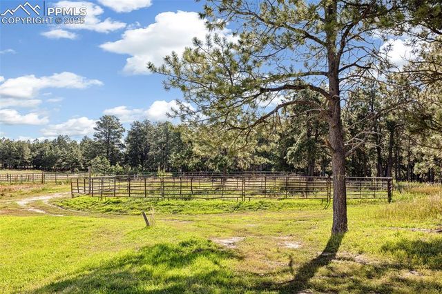 16685 Roller Coaster Road, Colorado Springs, CO 80921