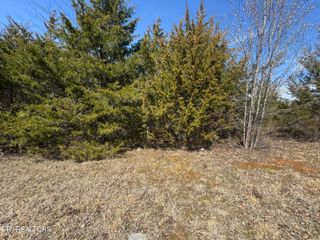 lot 155 Wedge Way, Tazewell, TN 37879