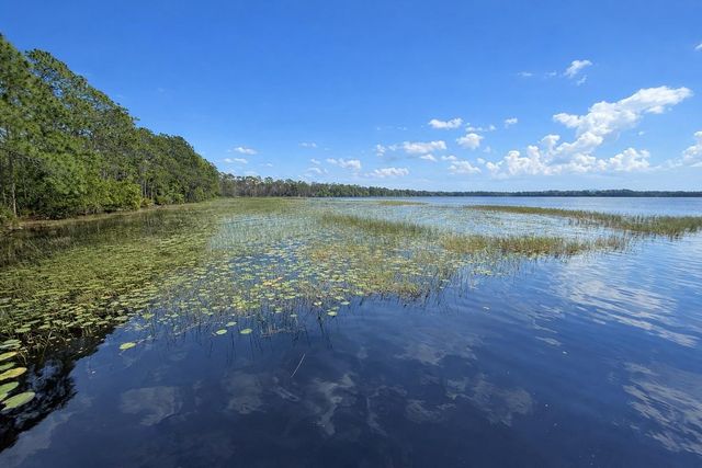 1813 LAKEWOOD DRIVE, St Cloud, FL 34771