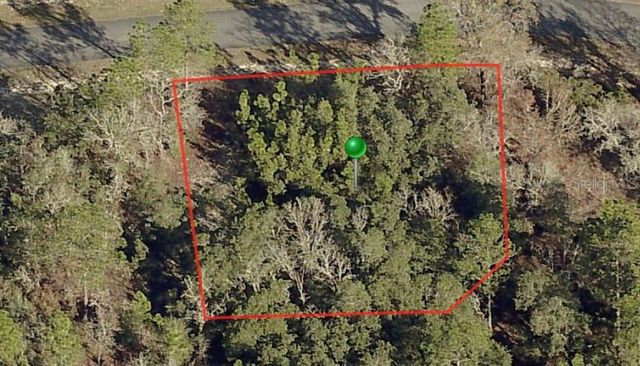 3198 W MONTGOMERY LANE, Citrus Springs, FL 34433