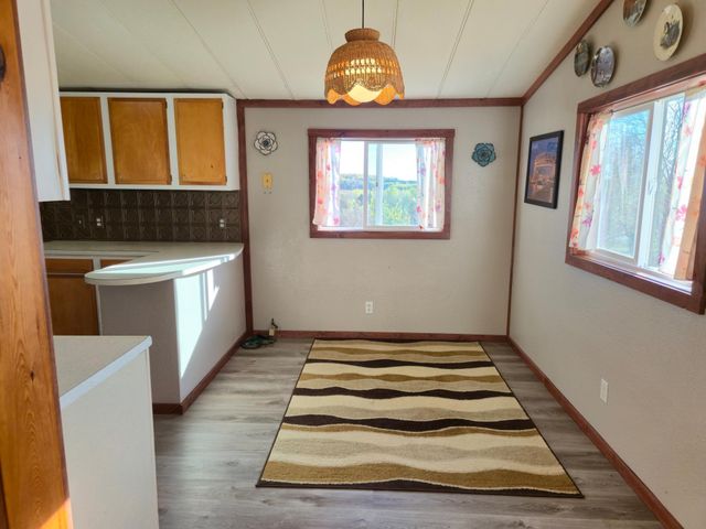 23837 State 200, Hendrickson Twp, MN 56461