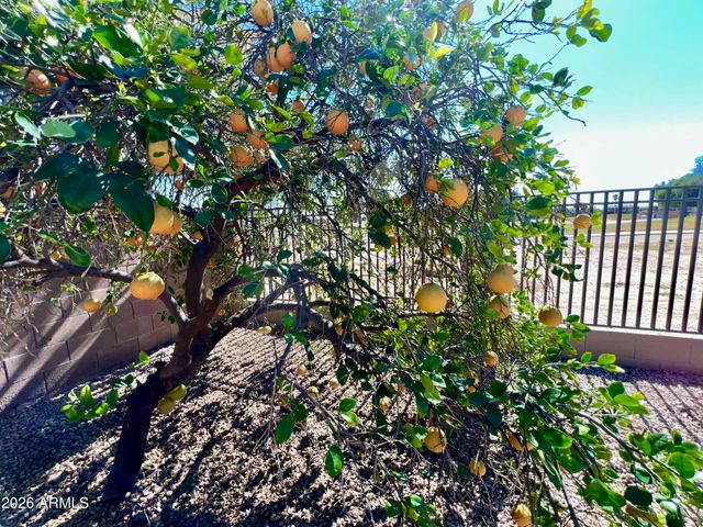 14313 W ALVARADO Drive, Goodyear, AZ 85395