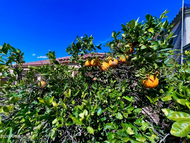 14313 W ALVARADO Drive, Goodyear, AZ 85395