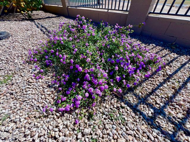 14313 W ALVARADO Drive, Goodyear, AZ 85395