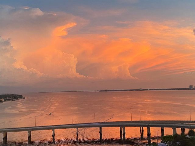 345 BAYSHORE BOULEVARD 1203, Tampa, FL 33606