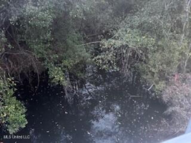 Paige Bayou Road, Vancleave, MS 39565