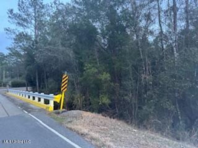 Paige Bayou Road, Vancleave, MS 39565