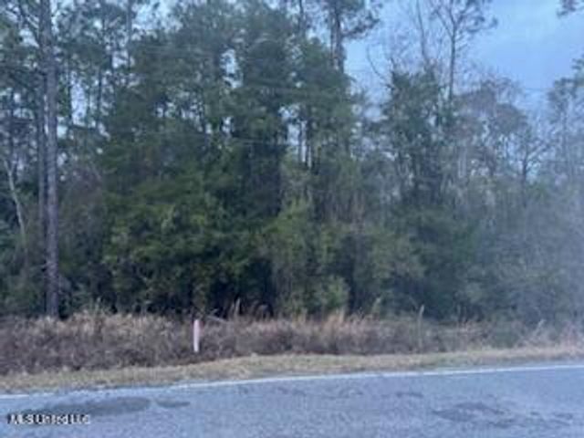 Paige Bayou Road, Vancleave, MS 39565