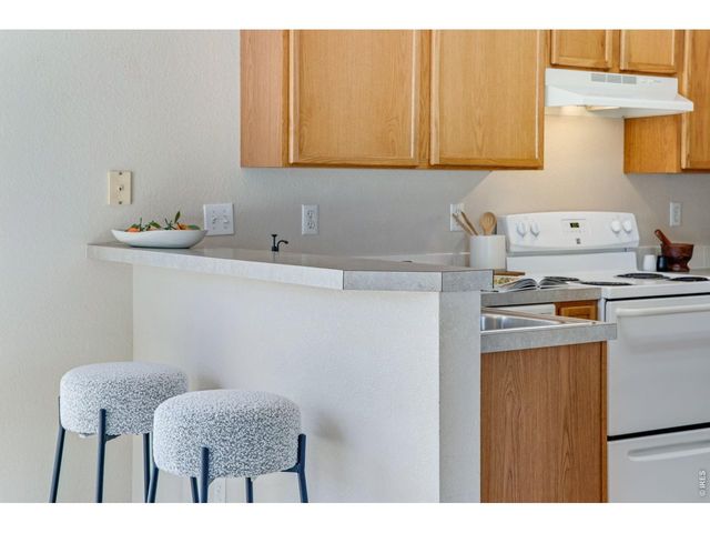 717 Chalk Ave, Loveland, CO 80537