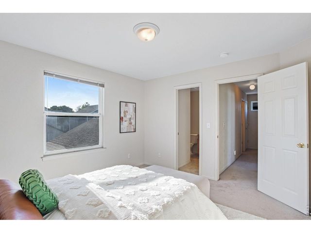 717 Chalk Ave, Loveland, CO 80537