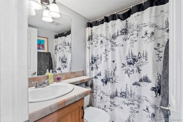 92 Sunshine Loop, Fairplay, CO 80440
