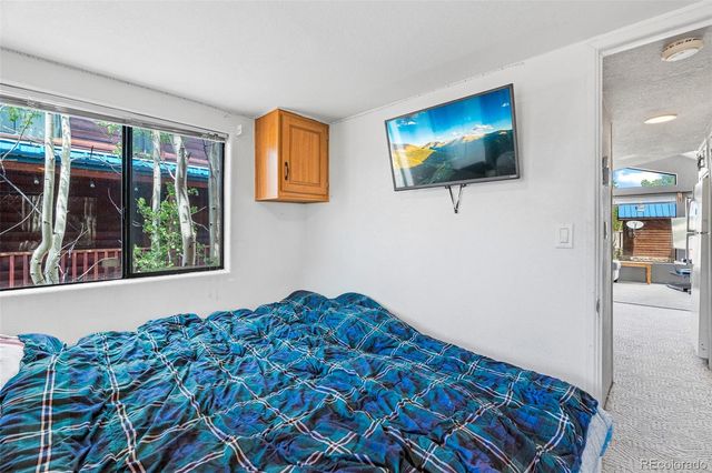 92 Sunshine Loop, Fairplay, CO 80440