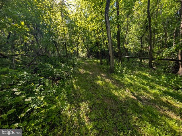 189 PIEDMONT ORCHARD RD, Linden, VA 22642