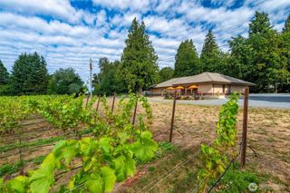 4290 Mt Baker Highway, Everson, WA 98247