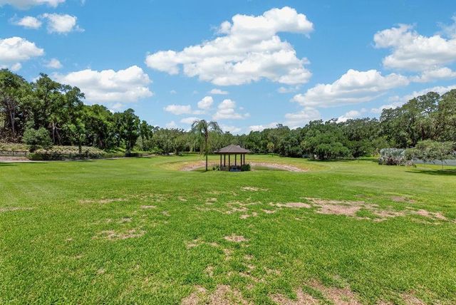 1007 LAKEWOOD DRIVE, Brandon, FL 33510