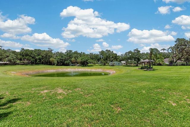 1007 LAKEWOOD DRIVE, Brandon, FL 33510
