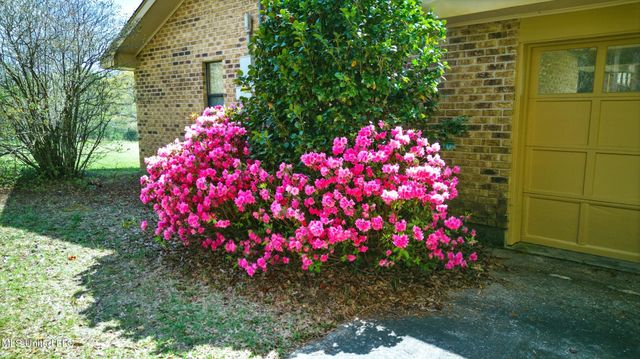 1273 Hilt Fornea Road, Poplarville, MS 39470