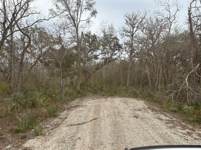 16532 County Road 729, Brazoria, TX 77422