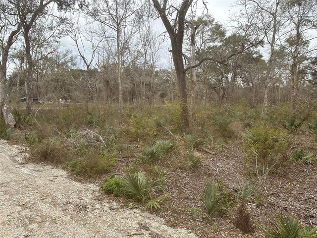 16532 County Road 729, Brazoria, TX 77422